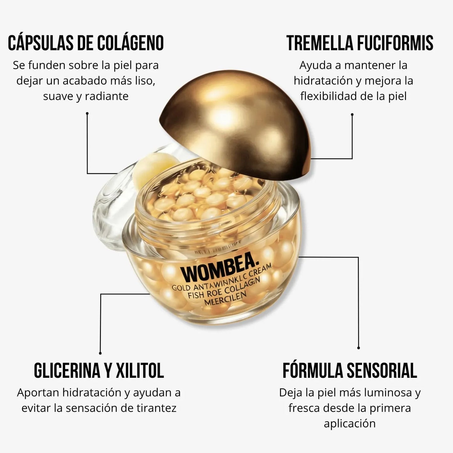 Pack starter wombea